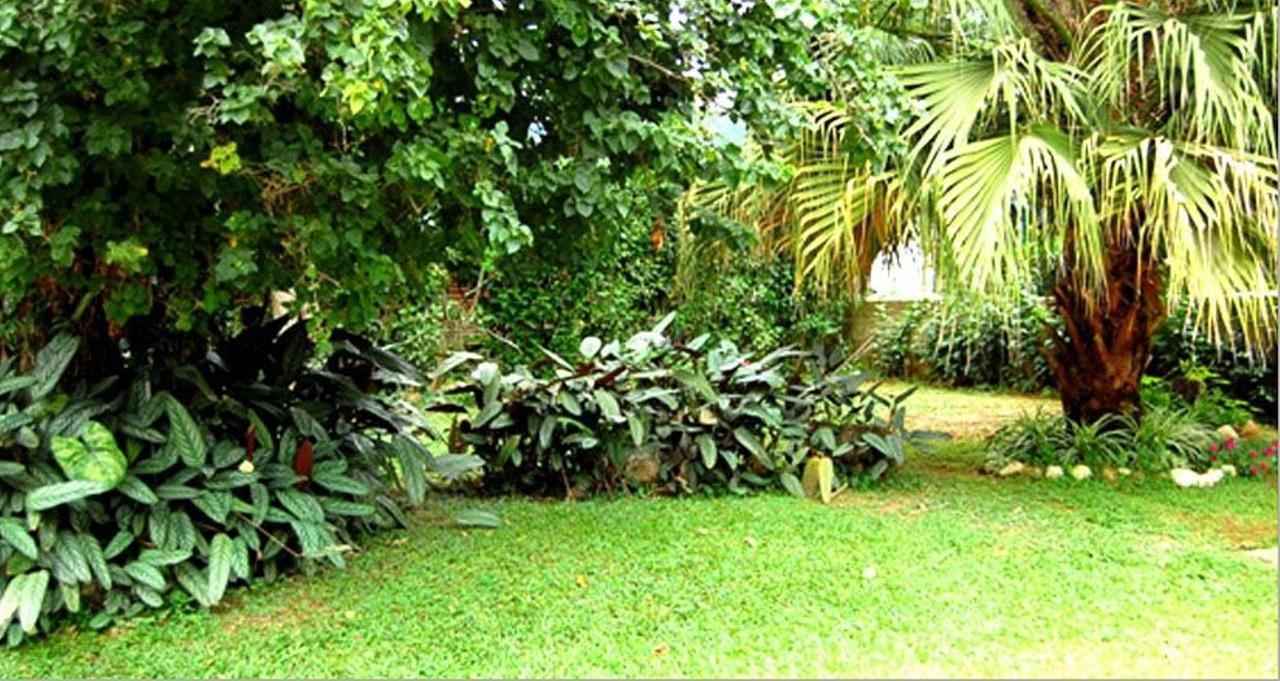 بينيدو Hotel Primavera المظهر الخارجي الصورة